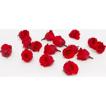 umělá květina Stabilizovaná růže MINI hlavička - princess