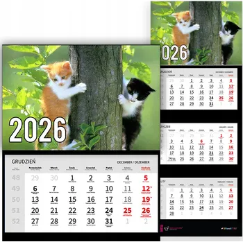 Obraz Trojdílný Kalendář na Rok 2026 Nástěnný do Kanceláře Zvířata Kočky na Stromě Vz