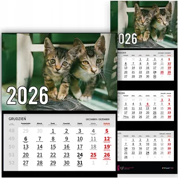 Obraz Trojdílný kalendář na rok 2026 nástěnný do kanceláře Zvířata Koťata Mix Vzorů