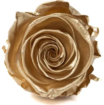 umělá květina Stabilizovaná růže – Zlatá