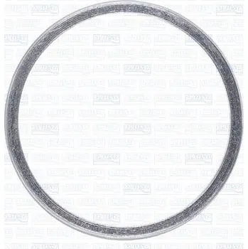 Těsnění výfuku Těsnicí kroužek, výfuková trubka AJUSA 19007600