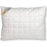 2G Lipov Polštář Bamboo 50x70 cm