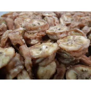 Sušené ovoce Banánová kolečka RAW BIO 3 kg LES FRUITS DU PARADIS