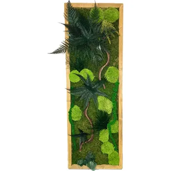 Obraz Mechový obraz s rostlinami 3D Druh rámu: 30x30cm