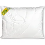 2G Lipov Polštář Cirrus Microclimate 50x70 cm