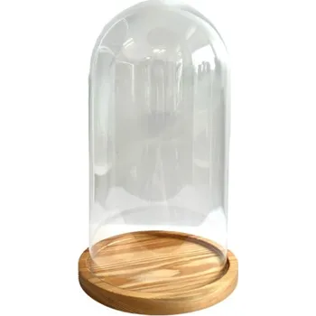 Terárium Skleněné terárium - DIY kupole