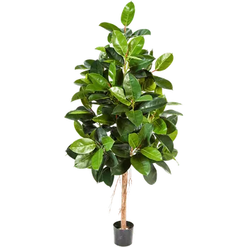 umělá květina Ficus Elastica Verzweigt (17x180cm)-umělá -ý + doprava zdarma