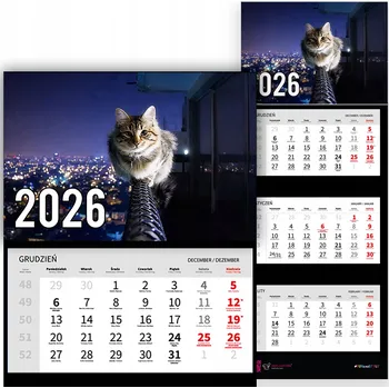 Obraz Trojdílný kalendář na rok 2026 nástěnný do kanceláře Zvířata Městský Kočka Vzory