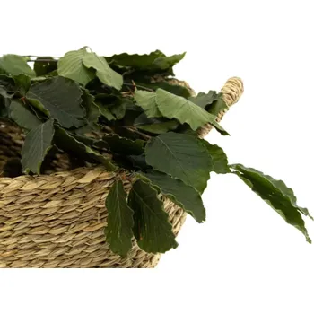 umělá květina Stabilizované bukové listy – zelená
