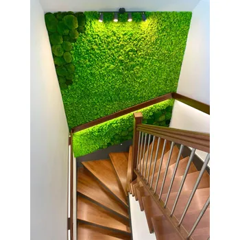 Mechová stěna - lišejník a kopečky 80/20