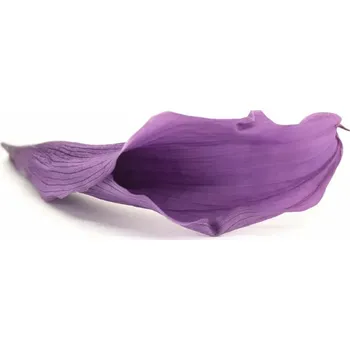 umělá květina Stabilizované květiny Kála - fialová