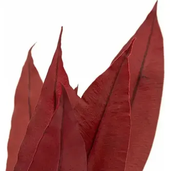 umělá květina Stabilizované tropické listy – červená Kus: 1