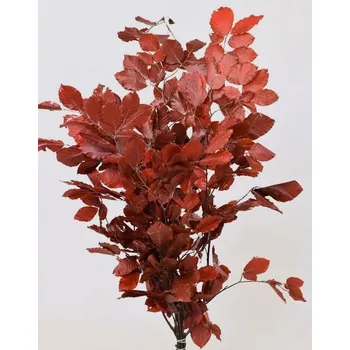 umělá květina Stabilizované bukové listy – červené