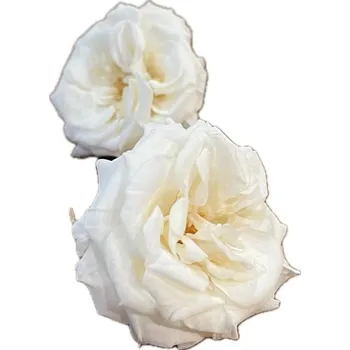 umělá květina Stabilizovaná růže šípková - bílá