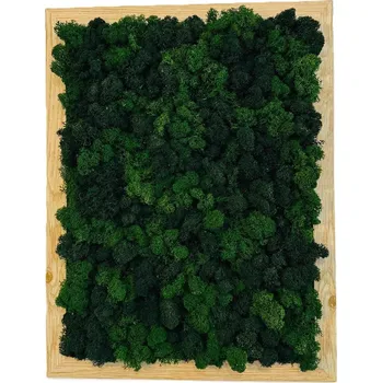 Obraz Mechový obraz - obdélník tmavý Barva: 1. Trstinová zelená