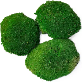 umělá květina Stabilizovaný kopečkový mech mix - zelený Bednička: 0,16 m²