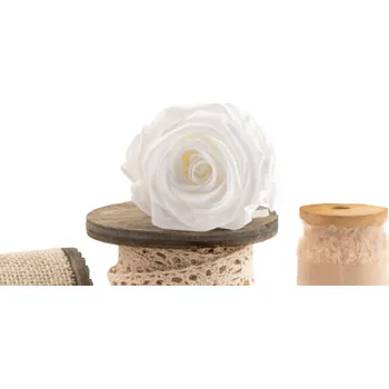 umělá květina Stabilizovaná růže – hlava XL bílá