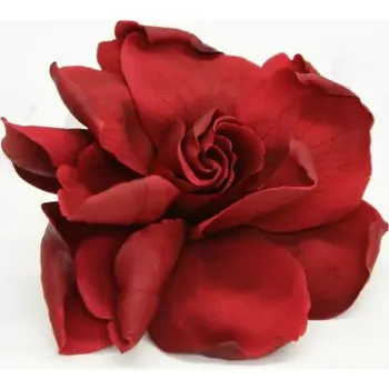 umělá květina Stabilizované květiny Gardenia - červená