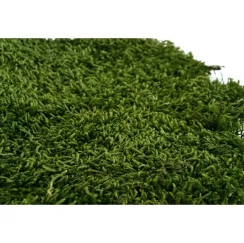 umělá květina Stabilizovaný plochý mech LONG – zelený Váha: 1kg