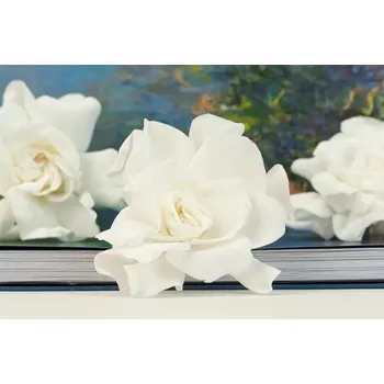 umělá květina Stabilizované květiny Gardenia - bílá