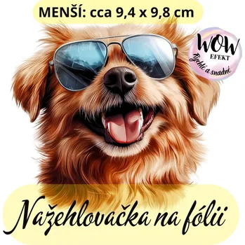 Nažehlovačky na fólii Nažehlovačka na fólii, PES RETRÍVR - SE SLUNEČNÍMI BRÝLEMI, 1 kus Zvolte VELIKOST motivu ZDE:: Menší