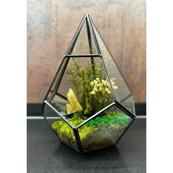 Terárium Terárium ze stabilizovaného mechu a rostlin - Pyramid