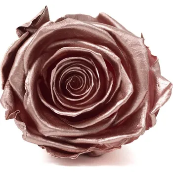 umělá květina Stabilizovaná růže – Rose Gold