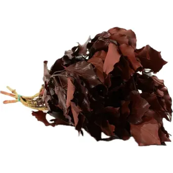 umělá květina Stabilizovaný břečťan Burgundy - červený