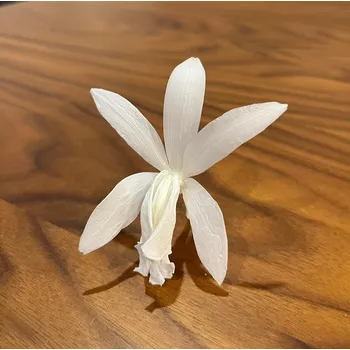 umělá květina Stabilizované květiny Orchidej Cattleya - bílé Kus: 2