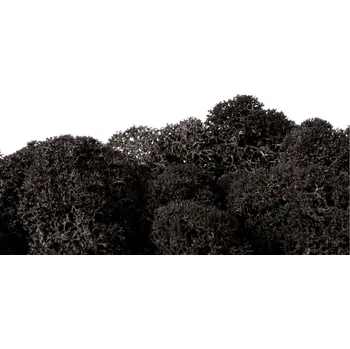Stabilizovaný čištěný mech - finský lišejník - černý Váha: 250g