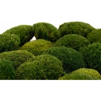 umělá květina Stabilizovaný kopečkový mech mix – tmavý Bednička: 0,08 m²