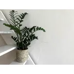 Vingo Sada 3 kulatých boxů z mořské trávy s bílým propletením