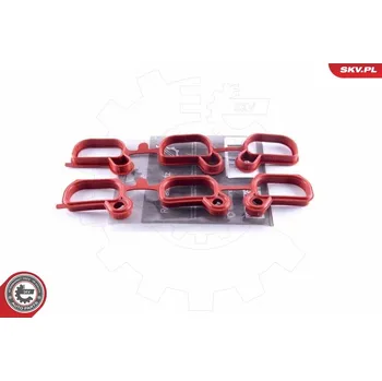 Váha vzduchu Sada na opravu, modul sacího potrubí ESEN SKV 49SKV651