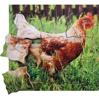 Puzzle Just Jigsaws 640 Slepice a její životní cyklus vrstvené 19 dílů