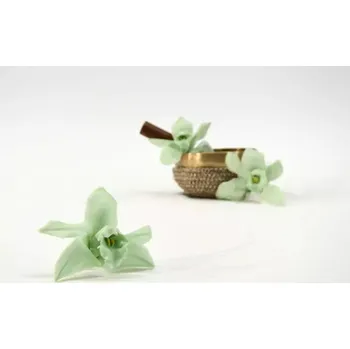 umělá květina Stabilizované květiny Orchidej Cymbidium – zelená