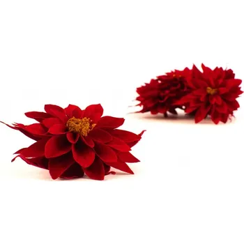 umělá květina Stabilizované květiny Dahlia červená