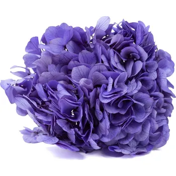 umělá květina Stabilizované květiny Hortenzie – fialová