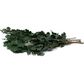 umělá květina Stabilizované dubové listy – zelené