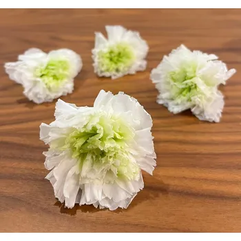 umělá květina Stabilizované květiny Hvozdík zahradní - bílozelené Kus: 1