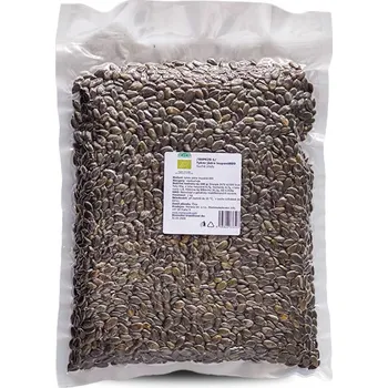 CZ distribuce Tykev jádra loupaná BIO (dýňové semínko) 1 kg/sáček