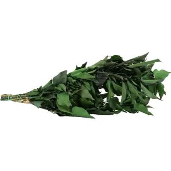 umělá květina Stabilizovaný břečťan - mix zelený