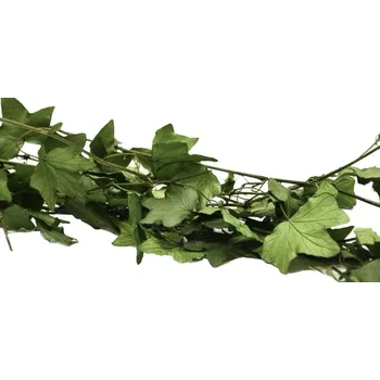 umělá květina Stabilizovaný břečťan XXL - zelený