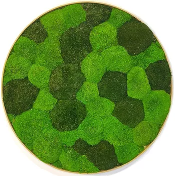 Obraz Mechový obraz - Kruh - Kopp Barva kopečků: Tmavě zelená