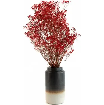 umělá květina Stabilizované květiny Gypsophila - červená