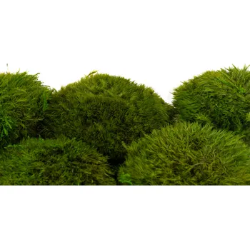 umělá květina Stabilizovaný kopečkový mech LONG - zelený Bednička: 5ks