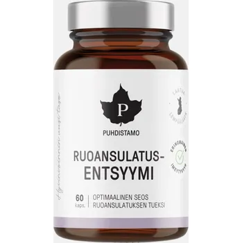 Přírodní produkt Puhdistamo Digestive Enzymes - trávicí enzymy 60 kapslí ZLEVNĚNO