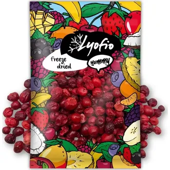 Potravina Lyofio Brusinka 60 g