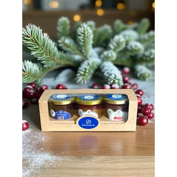 DobroLádovna Vánoční TROJKA PRODUKT 1: malinový džem 150 g, PRODUKT 2: slaný karamel 150 g, PRODUKT 3: cibuláda 150 g 3 x 150 g