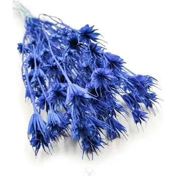 mech-mech.cz Sušená Nigella - (Nigella Orientalis) - modrá