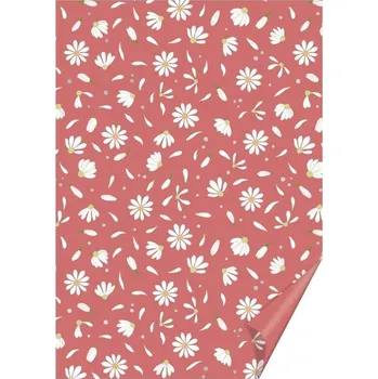 Výtvarný papír Karton A4 200g/m2 - Sedmikráska červený